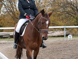 IMG_0380-137_web